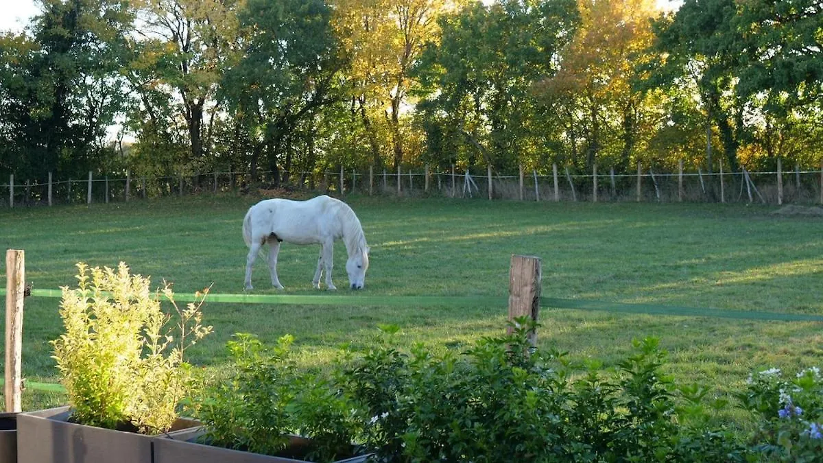 Gite In Equestrian Property Verdille Hébergement de vacances